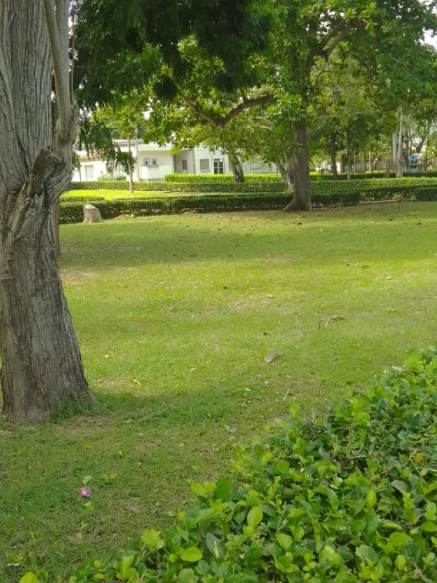 Espacios públicos: su importancia, normas y mejoramiento en Colombia